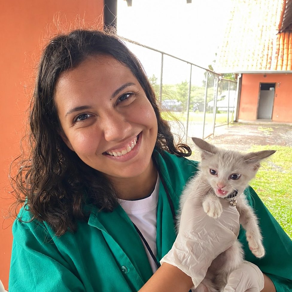 Bianca Barbara segurando com luvas um gatinho branco